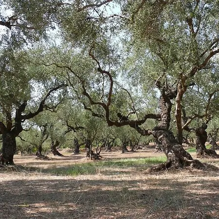 Loukas On The Waves * 트라가키온