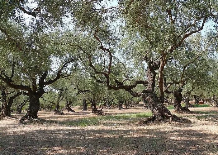 Loukas On The Waves * 查加基恩